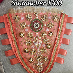 stomacher